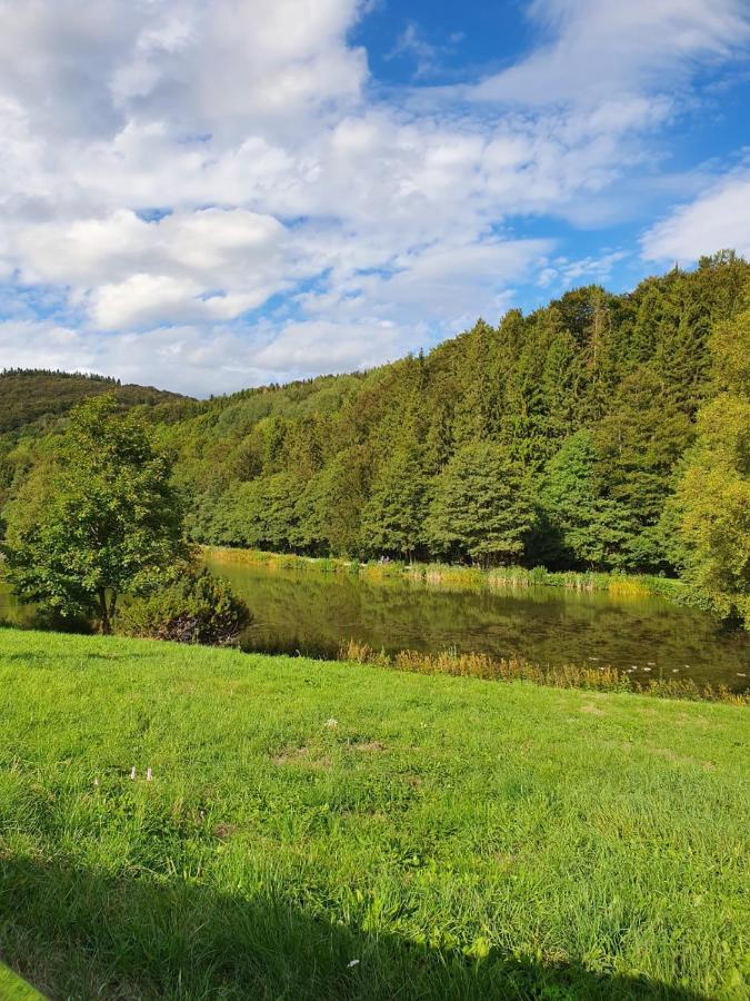 Ferienapartment Resi Willingen  Eksteriør billede